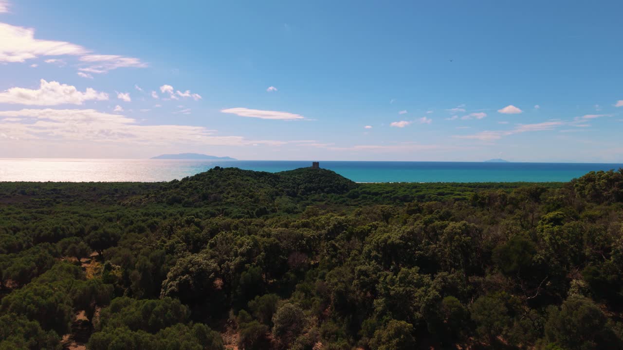 Wide view of Parco Maremma coastline with lush green pine forests and watchtower in soft daylight