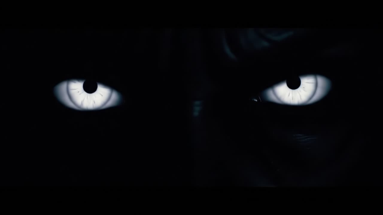 Glowing Eyes in the Dark