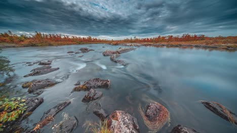 rapids on a shallow river with forest-covered banks in finning tundra