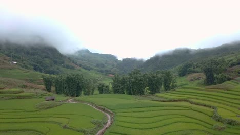 a picturesque ricefield in sapa vietnam filmed with a drone