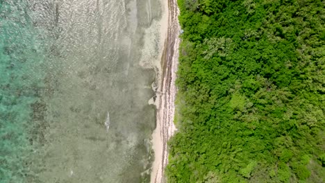 islas vírgenes de los estados unidos, islas vírgenes de los estados unidos, olas del mar caribe y selva tropical de saint thomas, vista aérea de pájaro, playa prístina vacía