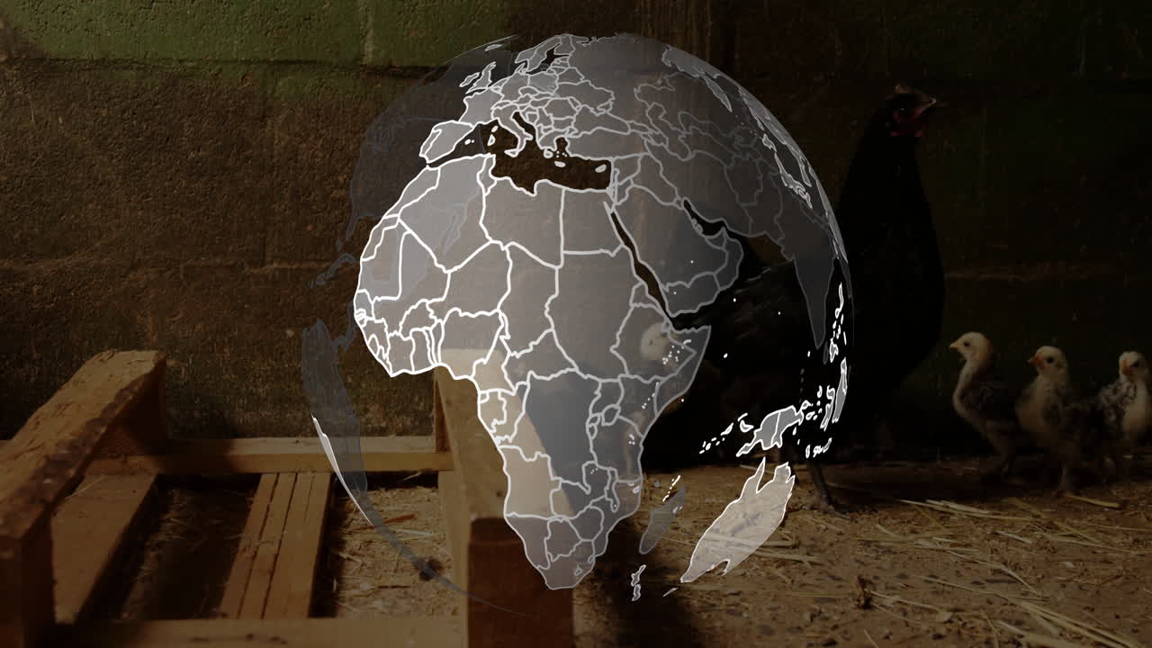 Translucent globe hovering above hay bedding, showing wireframe continents near mother hen's chicks