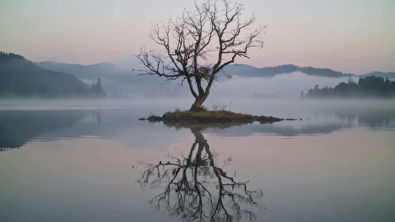 L'acqua del lago, increspata da piccole onde, distorce il riflesso di alberi spogli all'alba, con un isolotto nebbioso.