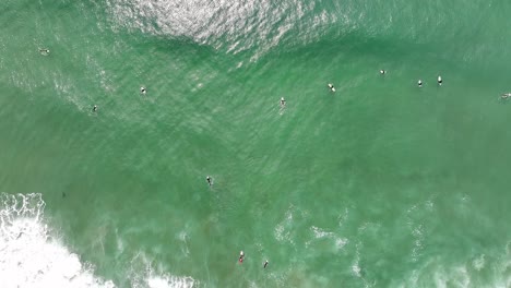 Surfistas-Remando-De-Arriba-Hacia-Abajo-Aéreo