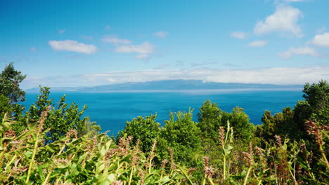 Hoher-Blick-Auf-Die-Leuchtend-Grüne,-üppige-Vegetation