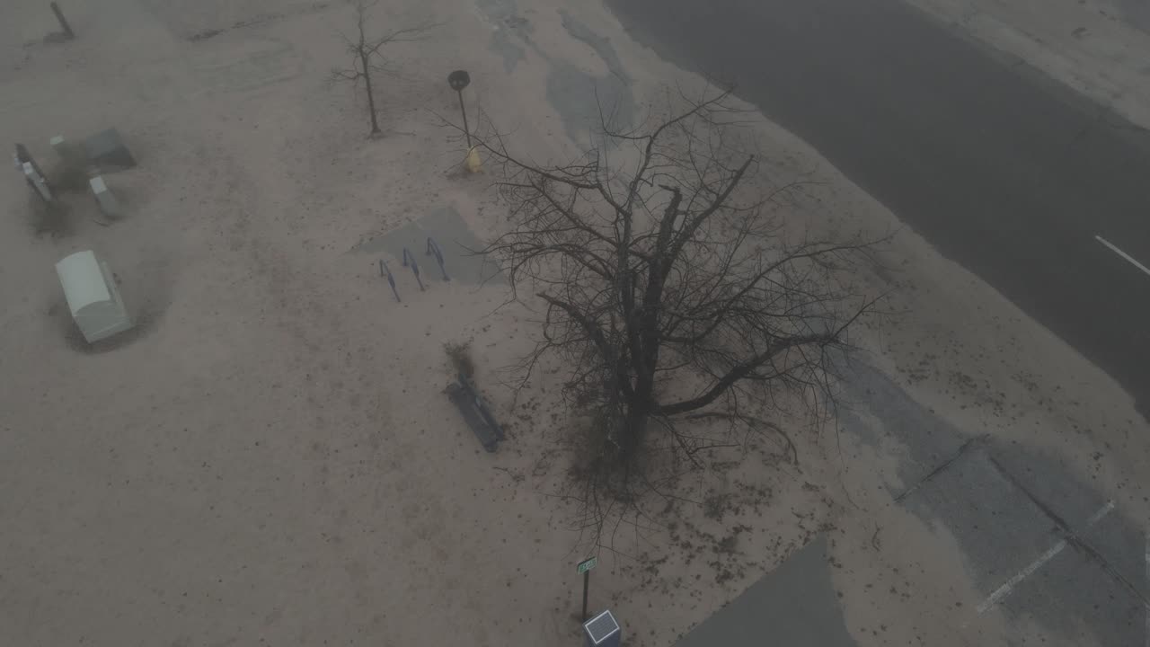 안개 낀 연기가 자욱한 날 불모의 나무의 높은 각도