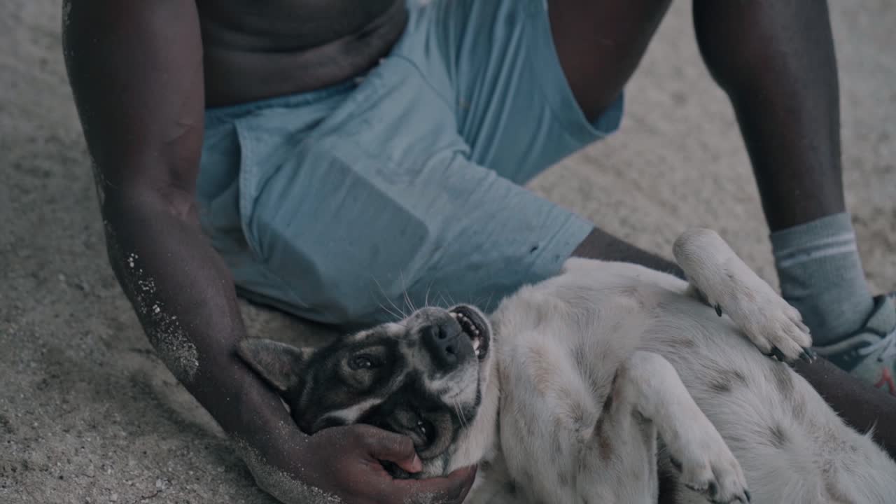 Uomo felice che accarezza il suo cane sulla spiaggia