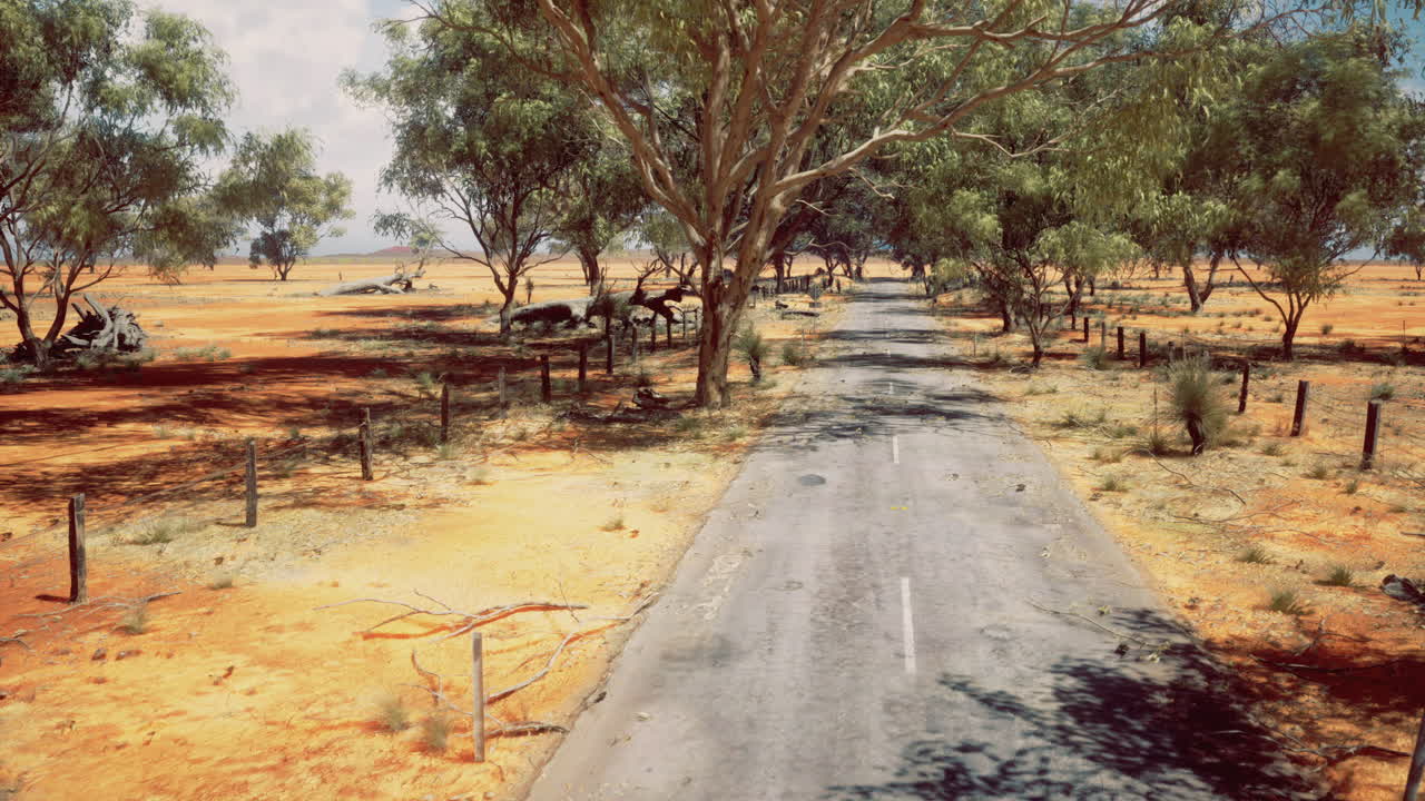 Rural road surrounded by sparse vegetation under clear sky in dry landscape