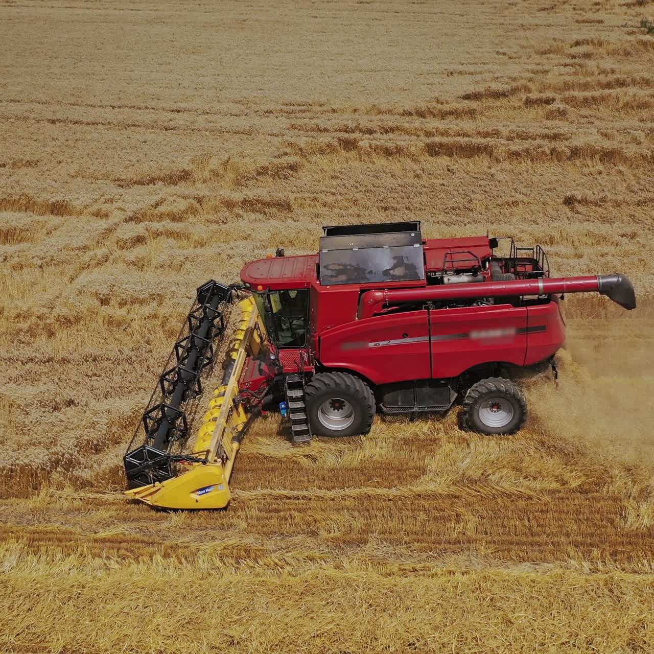 Agricultural process of harvesting in farmland. Red combine harvester working on the golden field in summer. Aerial view.