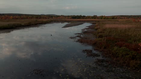 Arroyo-Cours-D&#39;eau-Shonyo-Rodeado-Por-El-Paisaje-De-Pradera-Dorada-En-Los-Municipios-Del-Este,-Quebec,-Canadá