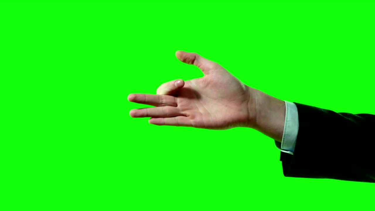 Sagoma d'ombra di un uomo d'affari che forma una testa di cane su schermo verde, set di filmati video 4K