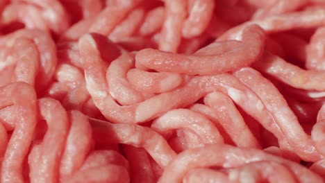 fresh pork and beef minced meat macro close up. chicken turkey mix burger meat.