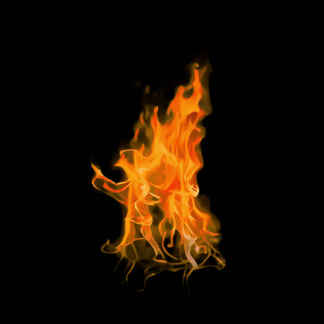 bonfire flame animation isolated asset, transparent 4k video, alpha channel, prores 4444