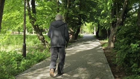 Anciano-Activo-Entrenando-Marcha-Nórdica-Con-Bastones-De-Esquí-En-El-Parque