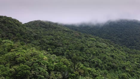 Jungle-rainforest-mountains-with-lots-of-vegetation-aerial-view,-natural-enviroment