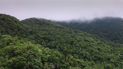 selva selva tropical montañas con mucha vegetación vista aérea, entorno natural