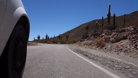 car wheel moving down fast the winding paved road on desert area, with cactus around