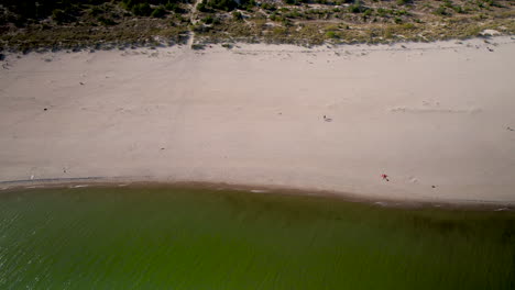 Toma-Aérea-De-Arriba-Hacia-Abajo-De-Una-Playa-De-Arena-Con-Agua-Verde-Y-Clara-Del-Mar-Báltico-Durante-El-Día-Soleado-En-La-Isla-Hel