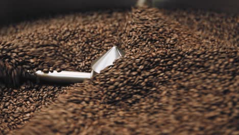 coffee cooling in roaster in 4k.