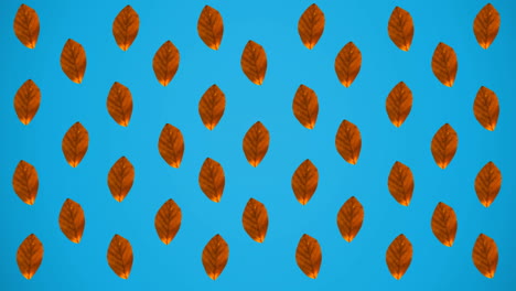 animation of rows of autumn orange leaves on blue background