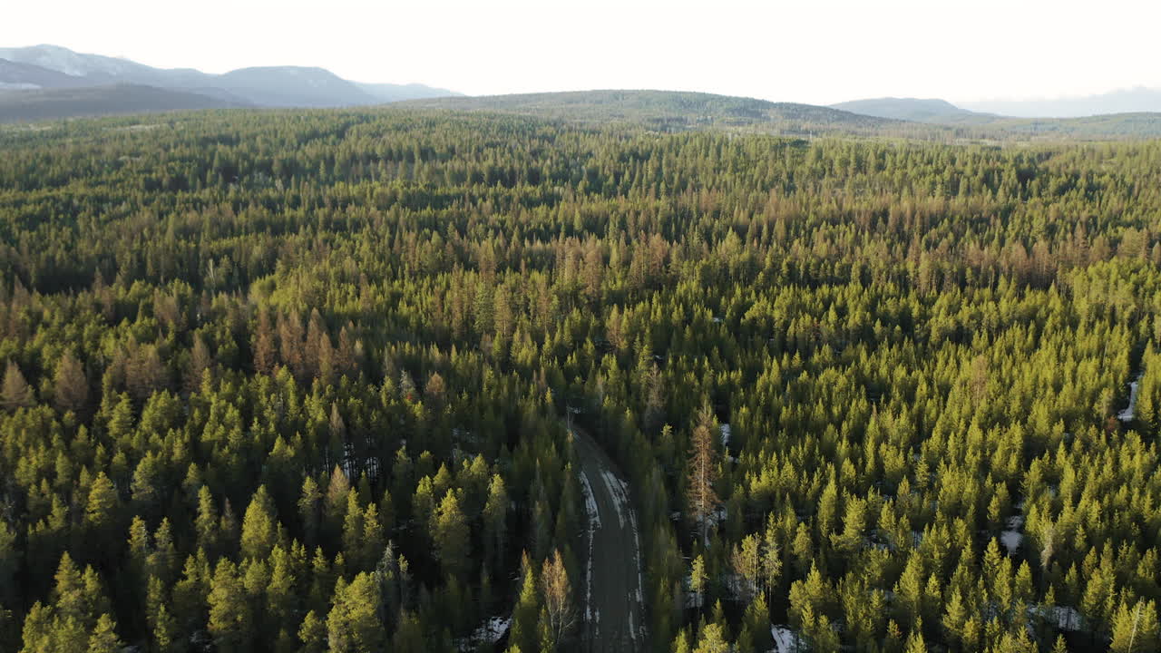 Havupuut ulottuvat kilometreittäin Kalliovuorille auringonlaskun aikaan