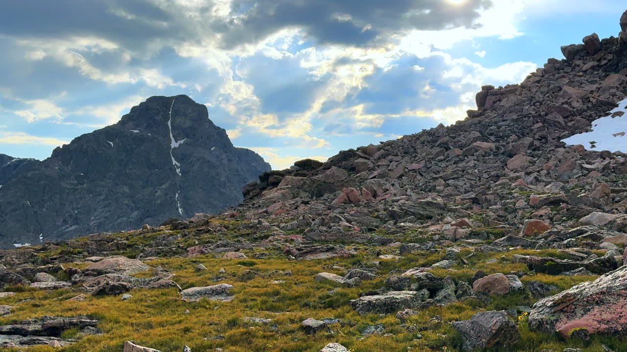 Mount of the Holy Cross 14er yellow wildflowers summer afternoon Rocky Mountain Sawatch Range Peak Colorado Alpine backcountry landscape Notch Mountain Shelter Halo Ridge trail snow field pan right