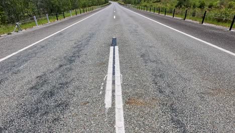 a deserted road stretches through lush greenery