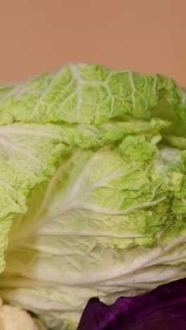 a variety of fresh vegetables, including cabbage and squash, are arranged against a neutral backdrop, showcasing vibrant colors and textures