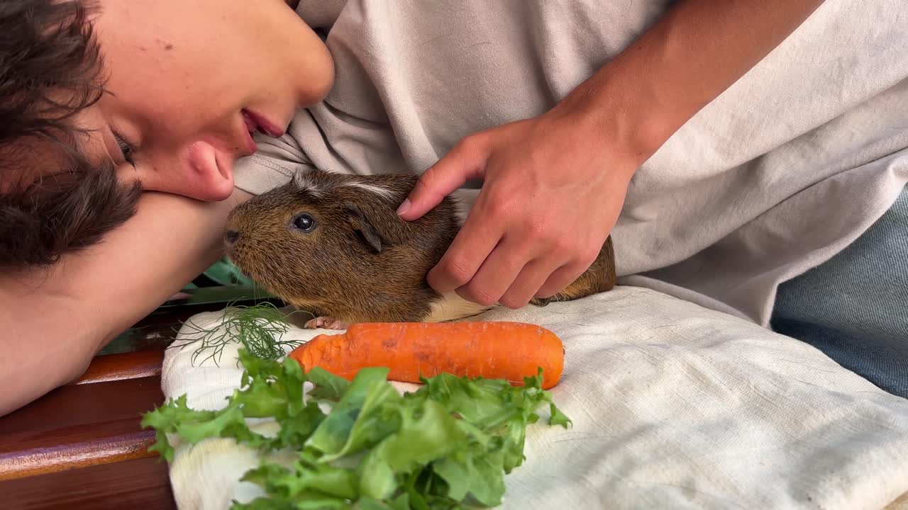 십대와 기니피그