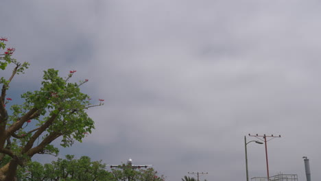 a boeing 747 airliner seen over approach lights landing at los angeles international airport in slow motion