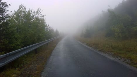 jungle road in the morning in foggy weather