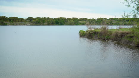 peaceful waters at a creek