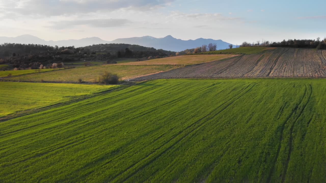 Drone Video over mountain lake potato farm fields sunset background peaks