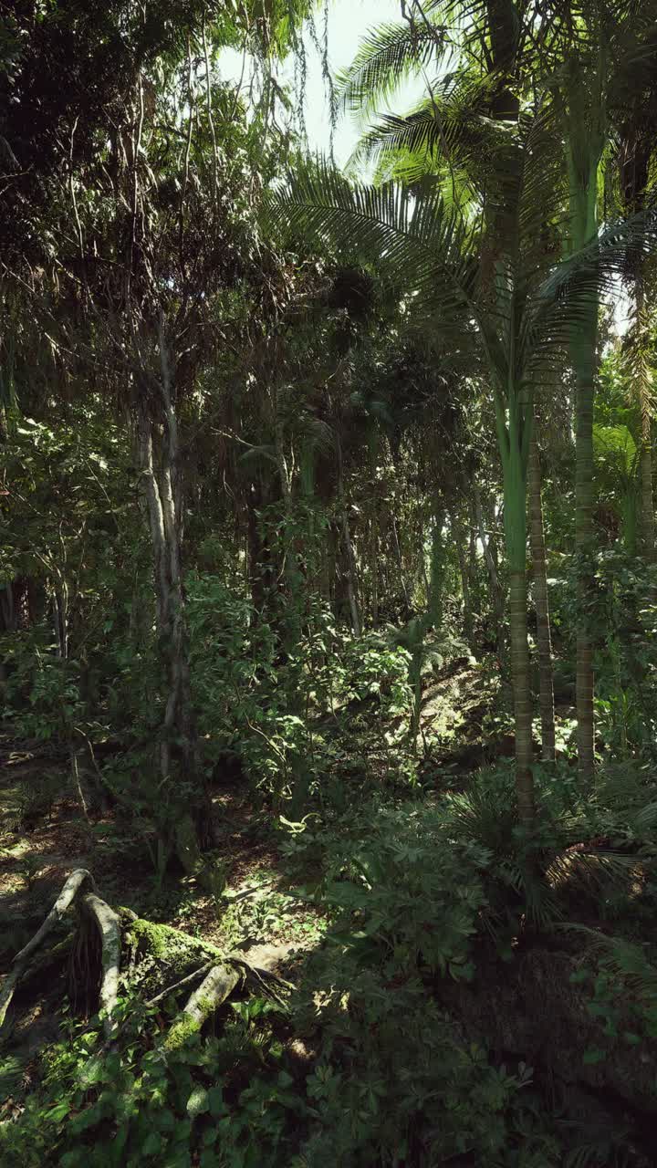 Ambiente vivace con alberi a strati e specie di fauna selvatica fiorenti