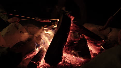 perritos calientes y salchichas asadas en una fogata a cámara lenta