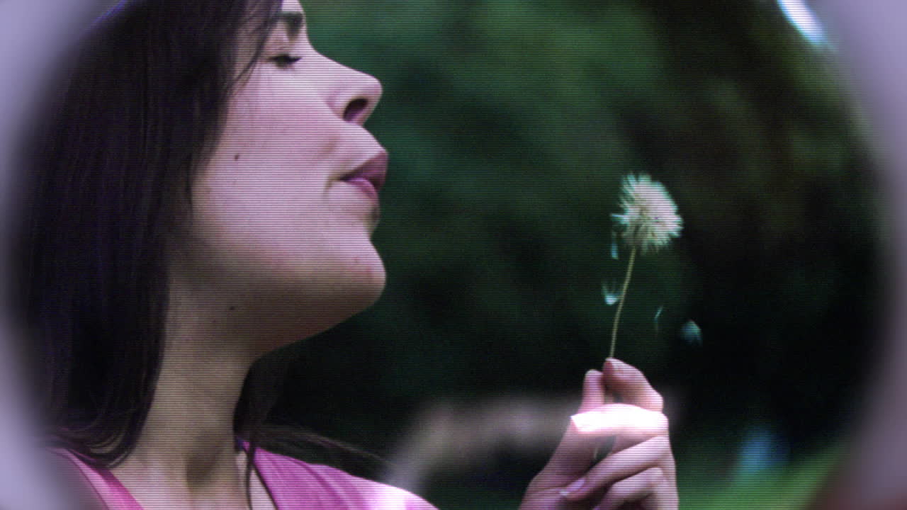 tres videos en cámara lenta que presentan la belleza y la naturaleza