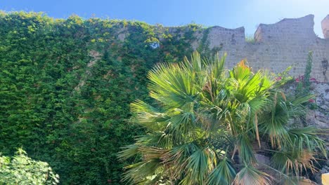 Medieval-Castle-in-Rhodos-Town-on-the-Island-of-Rhodos-in-Greece-during-the-summer,-travel-destination-filmed-in-4K