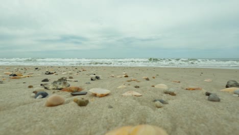 low perspective on a sandy summer beach, close up of shells in the sand