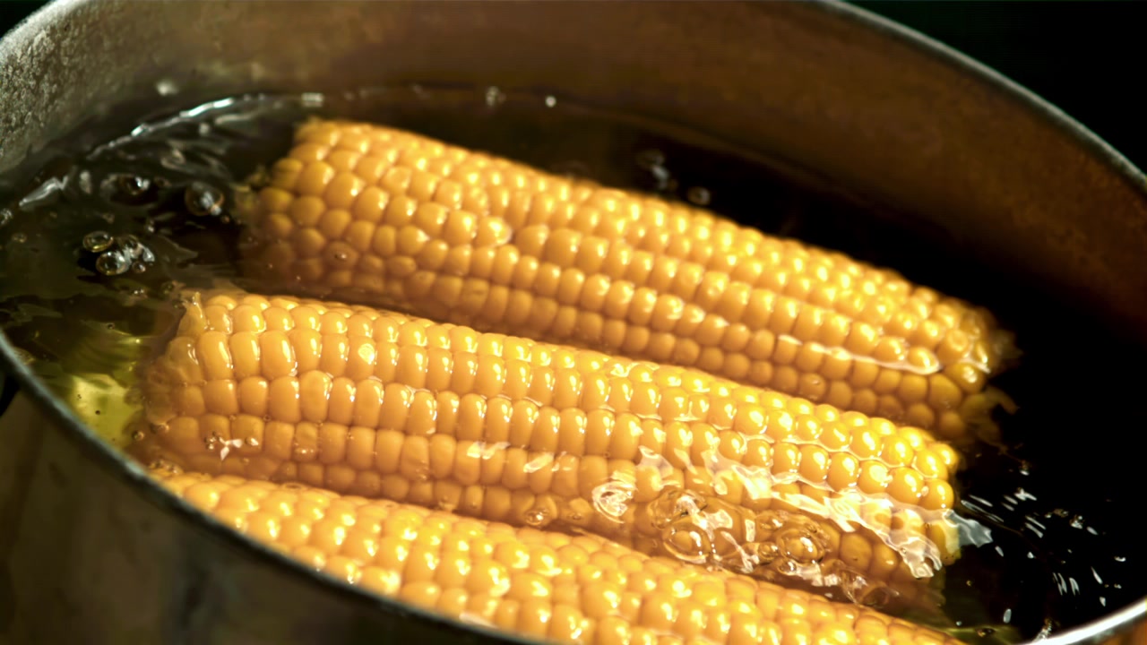 Golden Corn Cobs Simmering in Hot Water