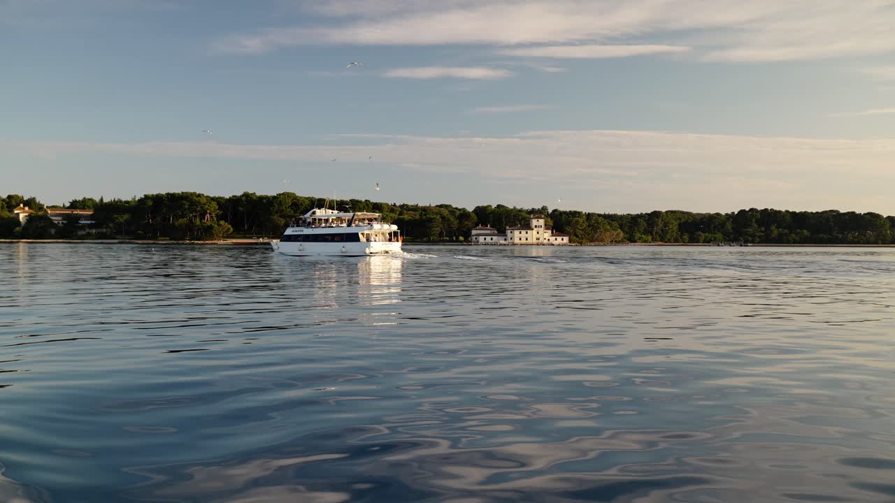 aves marinas por encima en el cielo azul