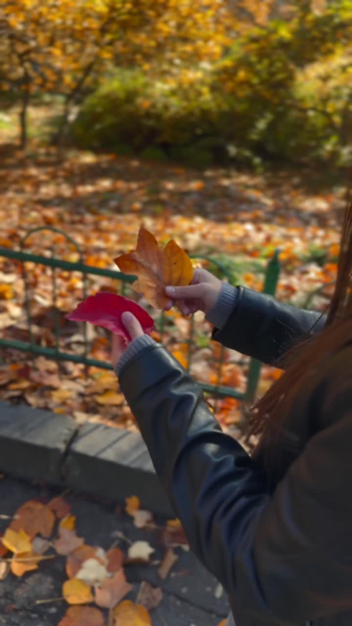 Foglie d'autunno nel parco