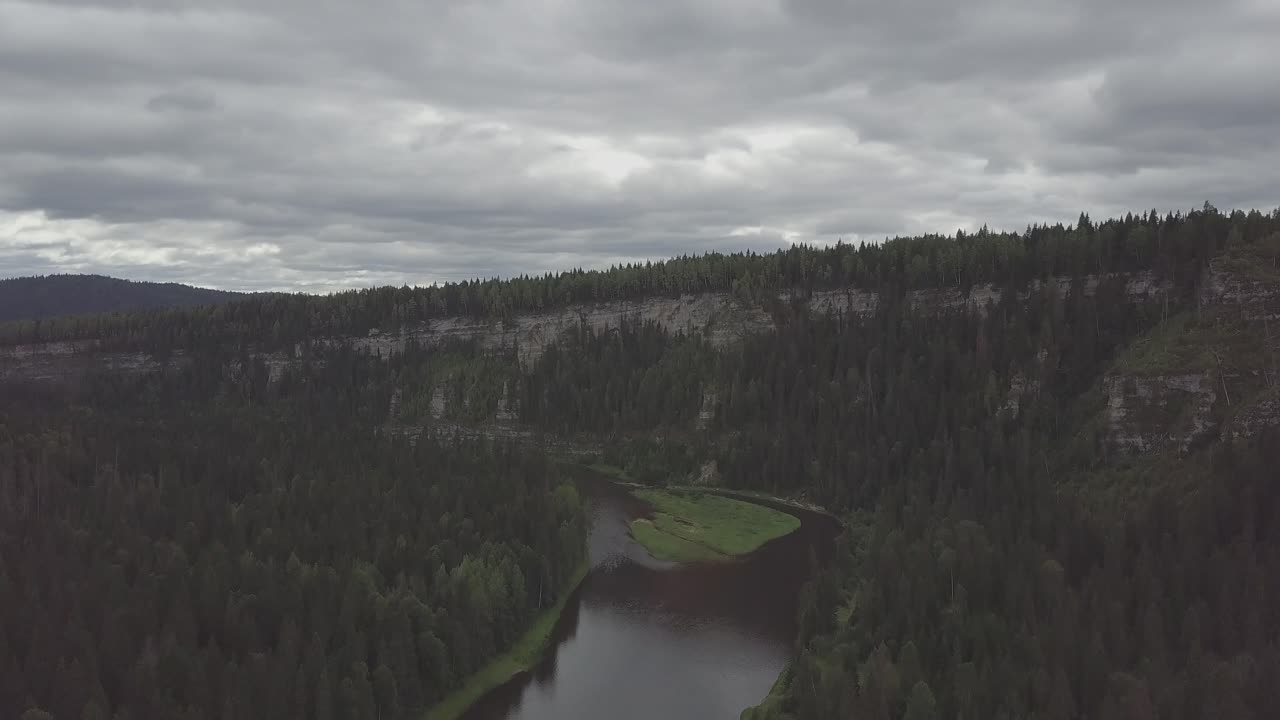Fiume che serpeggia attraverso un paesaggio forestale lussureggiante