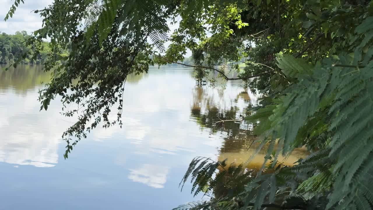 Still shot of Virginia River in the U.S., showing calm water and lush green tree branches with clear reflections on the surface