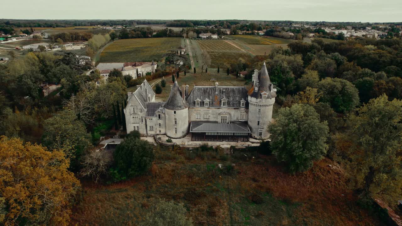 Aerial View of a Historic French Chateau Surrounded by Vineyards