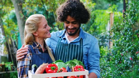 gardener holding crate of fresh vegetables