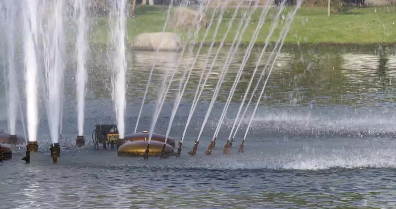 Assisti a uno splendido spettacolo di fontane che creano affascinanti opere d'arte acquatiche in un tranquillo ambiente di parco.