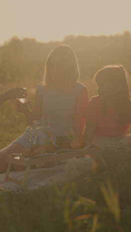 familia disfrutando de un picnic al aire libre en un día soleado, mujer anciana entregando una taza de agua a otra mujer y una niña joven mientras está sentada en una alfombra de picnic con bocadillos, frutas y canasta de mimbre