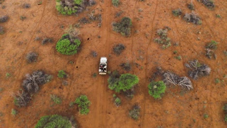 aerial shot of 4x4 safari jeep driving through the bush