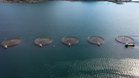 Luftaufnahmen-Von-Lachsfarmen-In-Norwegen