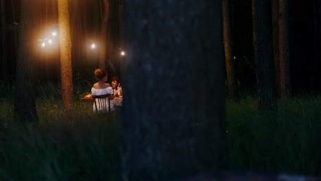 romantic outdoor dinner in the forest